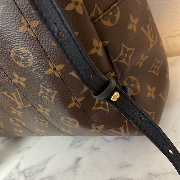 Louis Vuitton Palm Springs MM Monogram Backpack - Picture 5 of 13